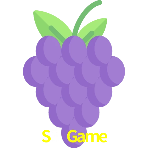 S3 Game